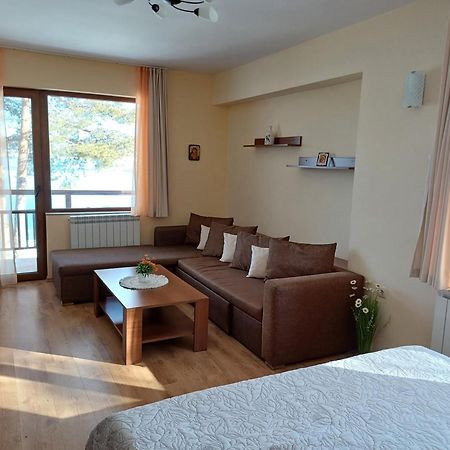 Villa Santa Maria Цигов-Чарк Экстерьер фото